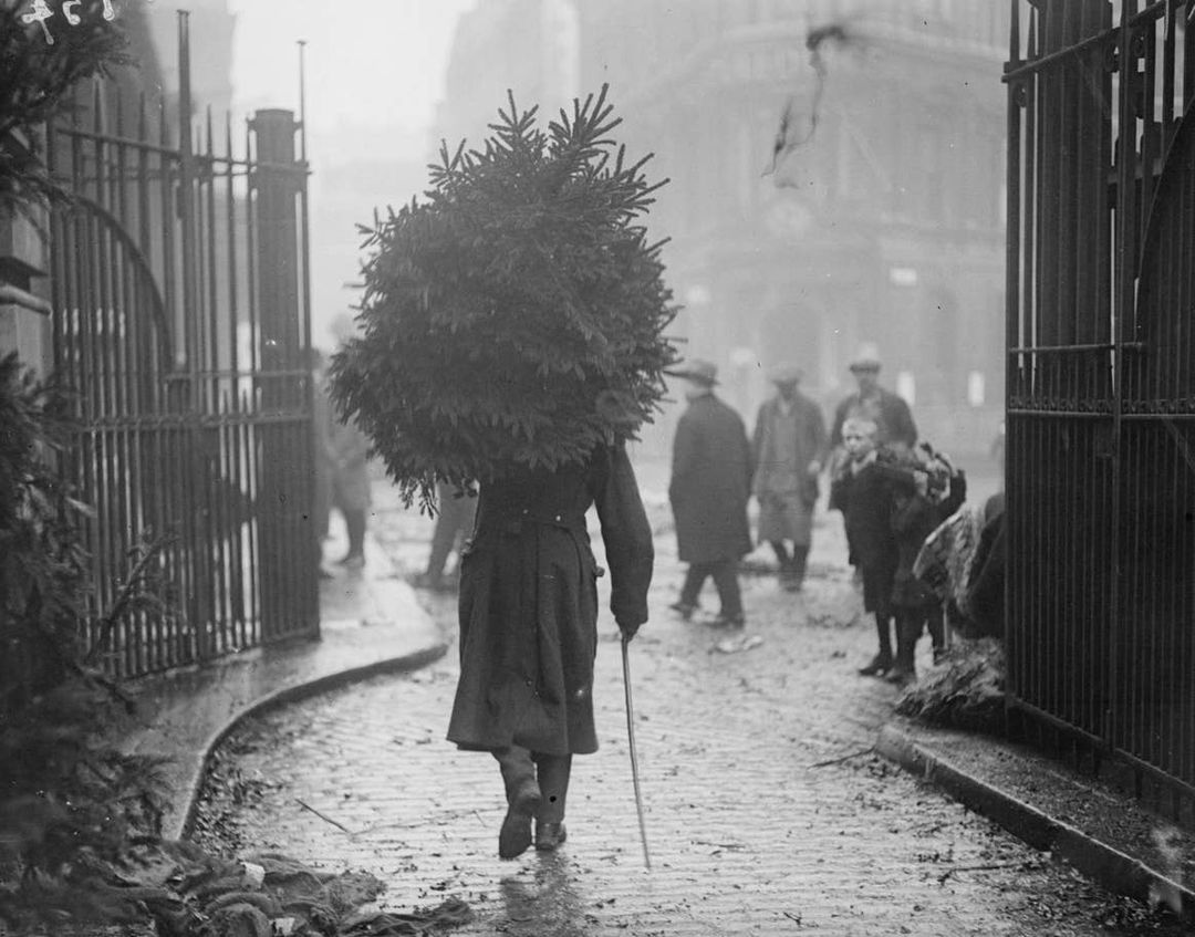 Black and white, December 1915: A soldier carrying a christmas tree. (Photo by Topical Press Agency/Getty Images)