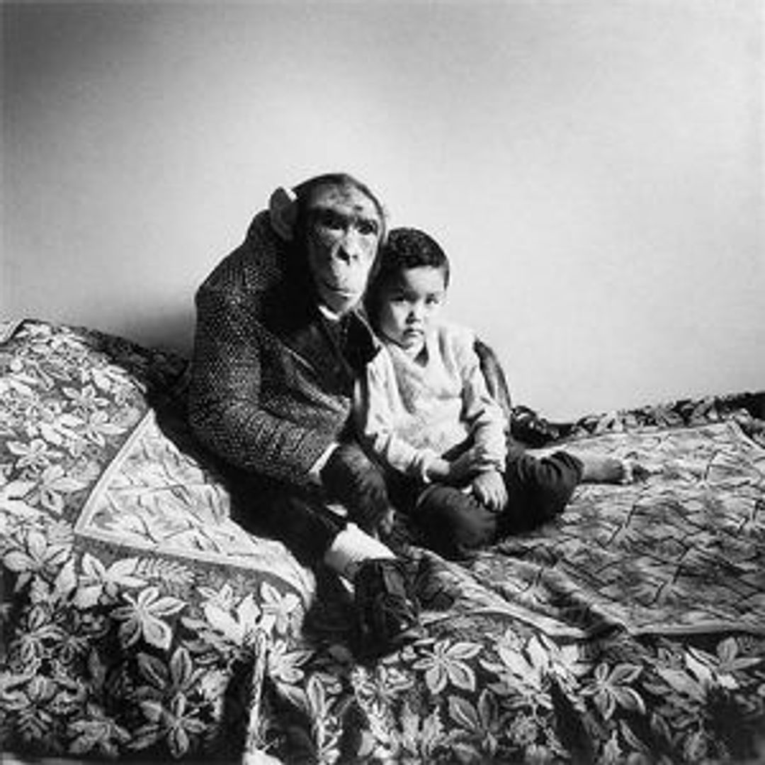 A small child sitting in the arms of a suited up monkey, on a double bed. Feels like a sibling portrait. The bedcover is a sea of leaves, possibly maple.