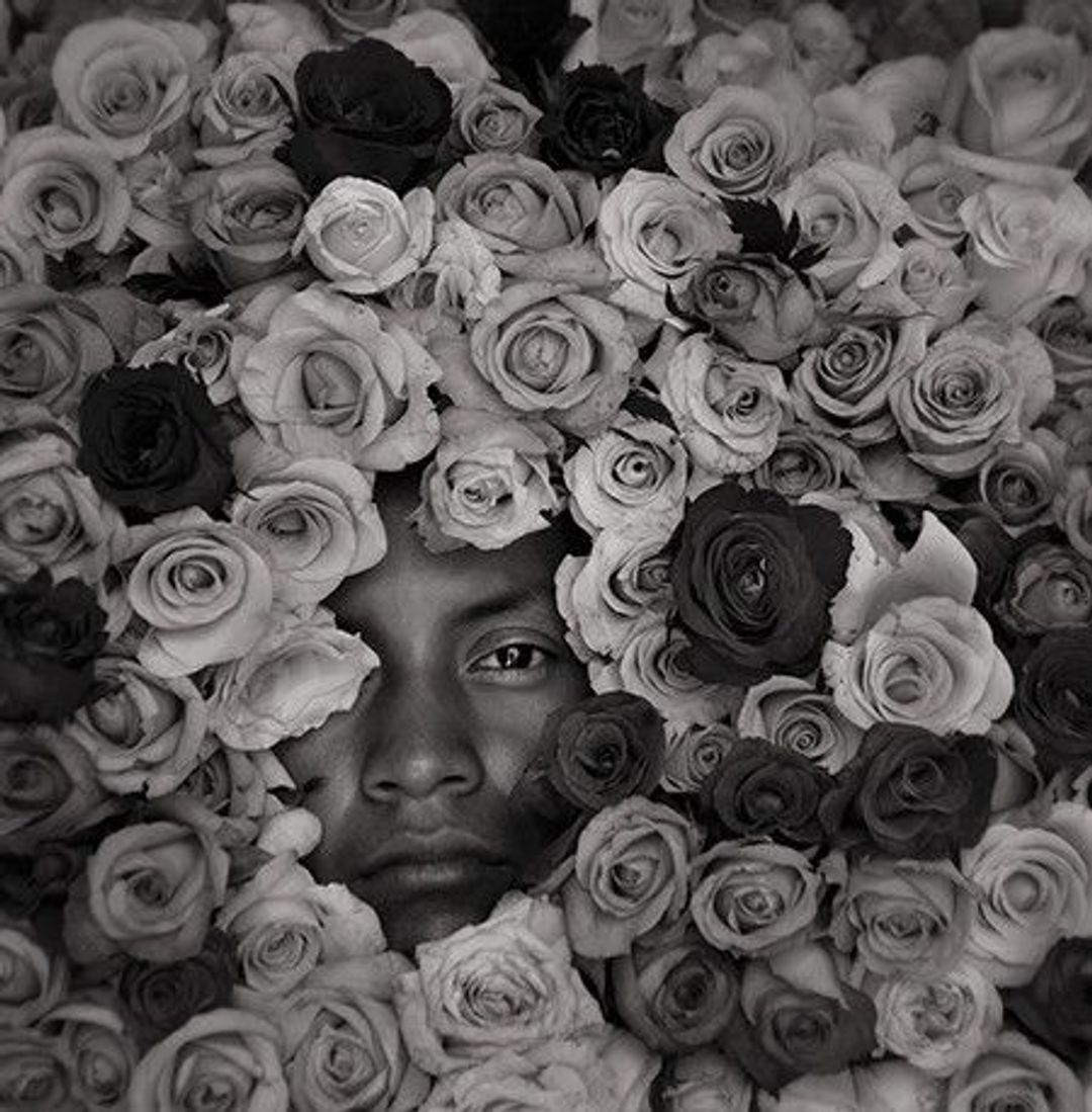 A hispanic man's face emerges from a bed of roses toward you. You can see one of his eyes, looking into yours.