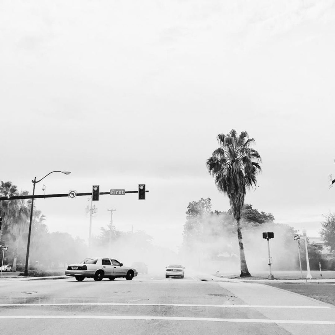 A car in the middle of an intersection in LA. A huge palm tree, and smoke as it some other cars had just been doing a heap of burnouts.