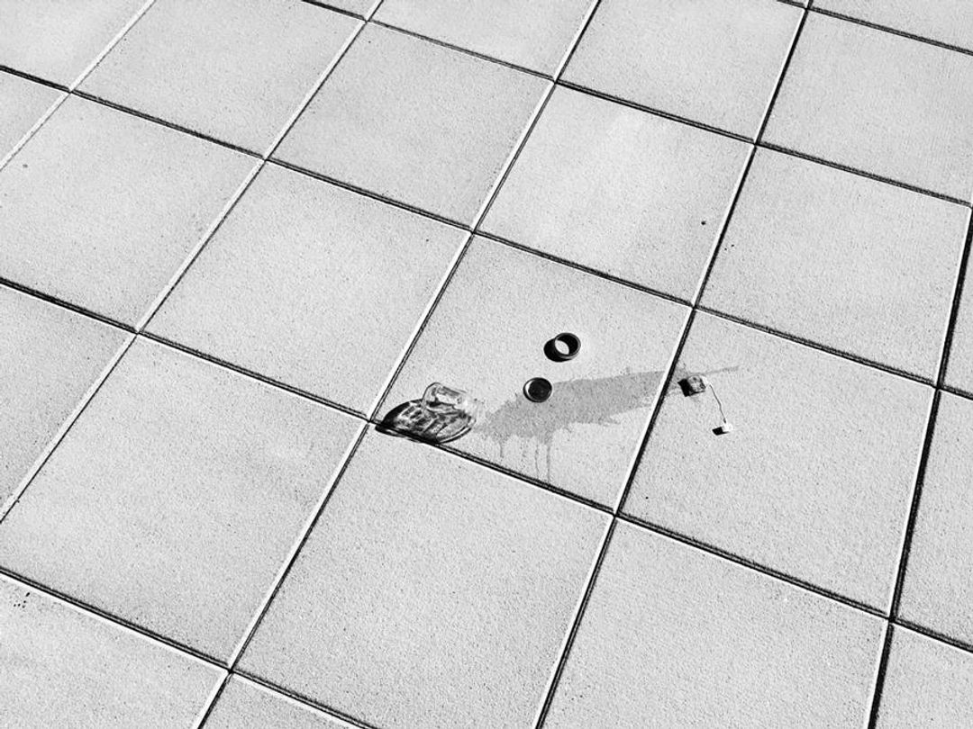 An object, wet and broken on a tiled floor. It's not clear what.